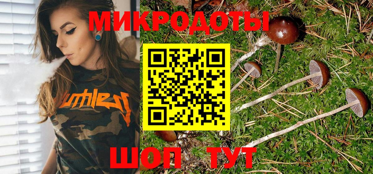 Псилоцибиновые грибы прущие грибы  Вход с VPN  Псилоцибиновые грибы Cubensis  Камышин 
